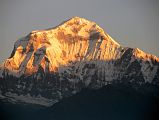 
Poon Hill Dhaulagiri At Sunrise
